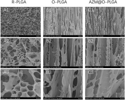 Azithromycin-carrying and microtubule-orientated biomimetic poly (lactic-co-glycolic acid) scaffolds for eyelid reconstruction